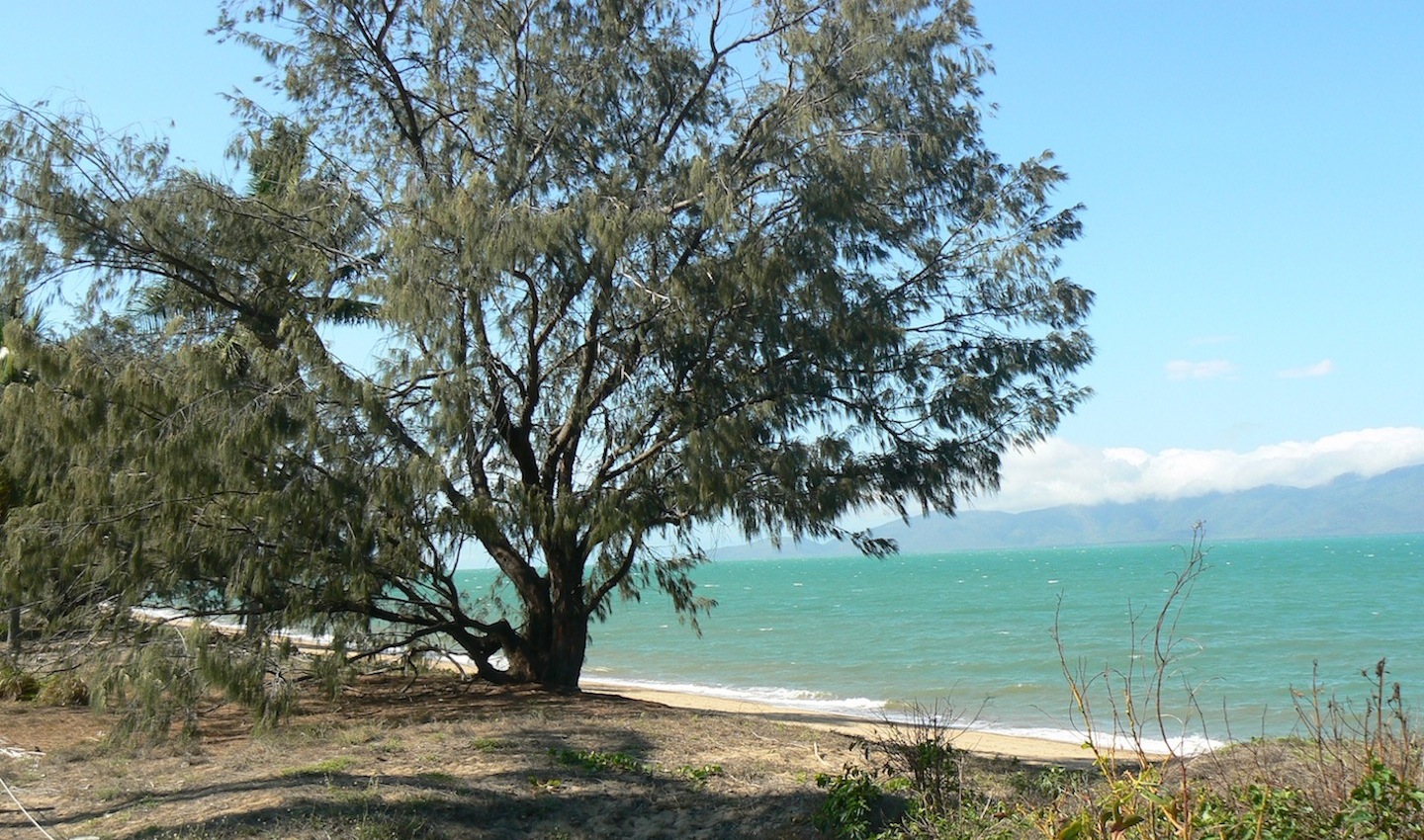 Rowes Bay Wetlands