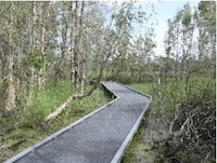 Rowes Bay Wetlands