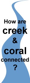 CLICK HERE - How are CREEK & CORAL connected?